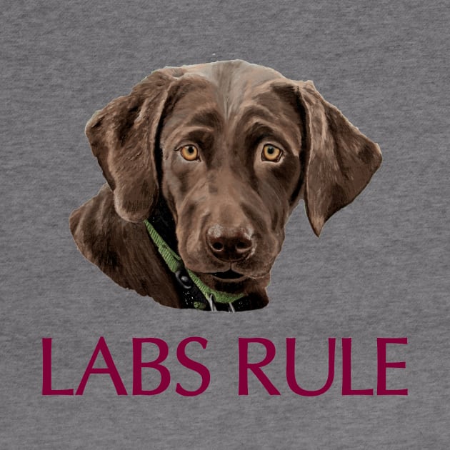 Chocolate Labs Rule by Naves